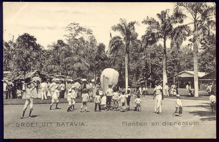 Kebun Binatang Pernah di Tengah Pusat Kota Jakarta