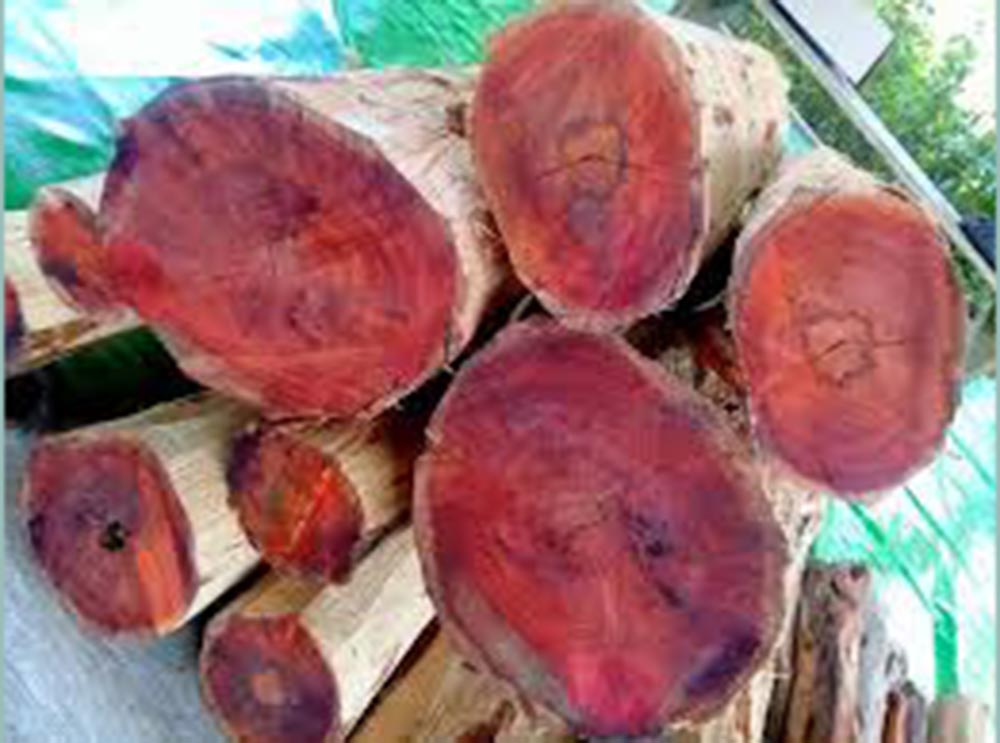 Pal Merah dari Tonggak Kayu Merah